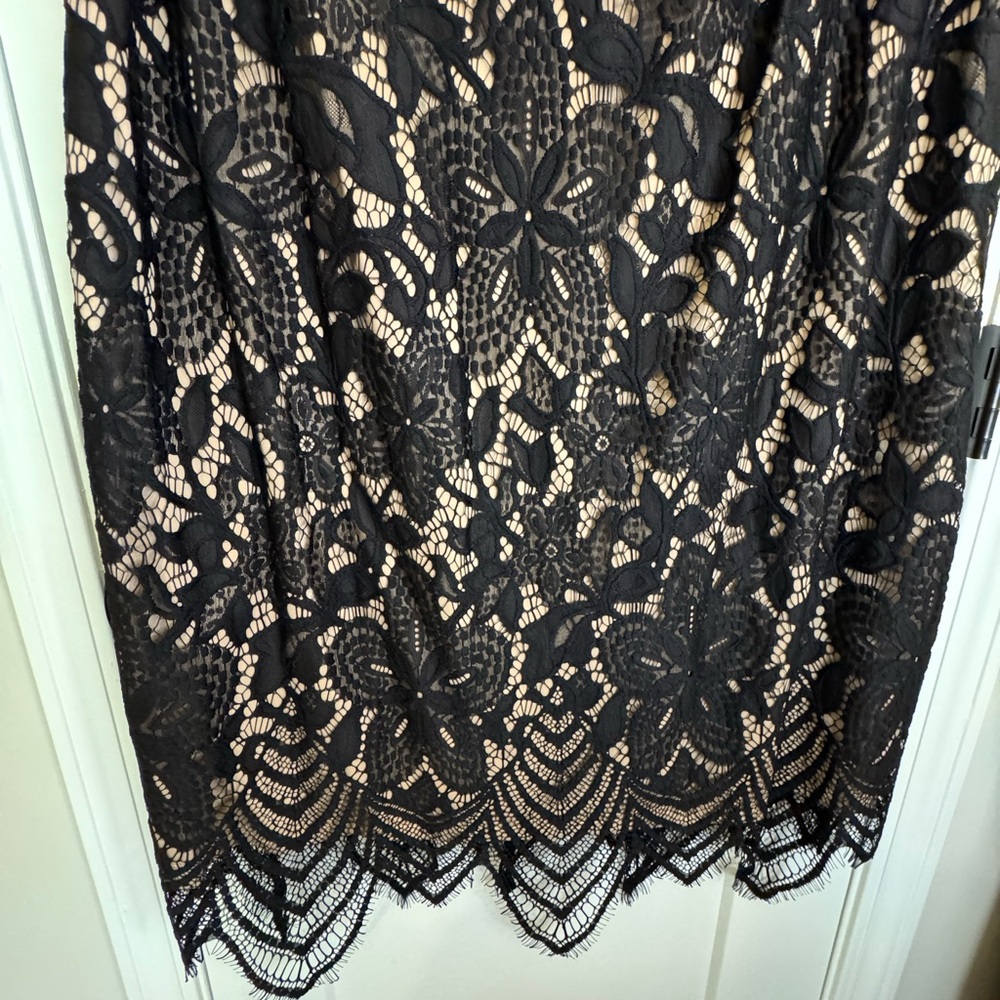 Sharagano Black Lace Overlay Midi Dress with Nude Lining - Picture 2 of 8